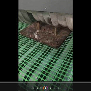 佛山客户案例：铁板除锈输送式喷砂机工作视频